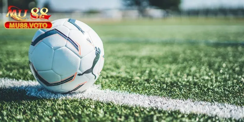 BTI Sports là gì? 