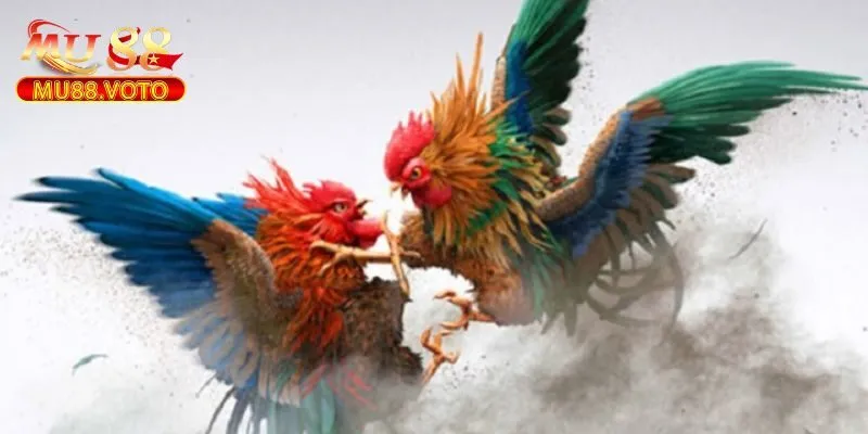 Giới Thiệu Về ODIN Đá Gà Tại MU88